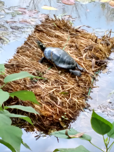 Nature Preserve «Fountain Rock Park & Nature Center», reviews and photos, 8511 Nature Center Place, Walkersville, MD 21793, USA