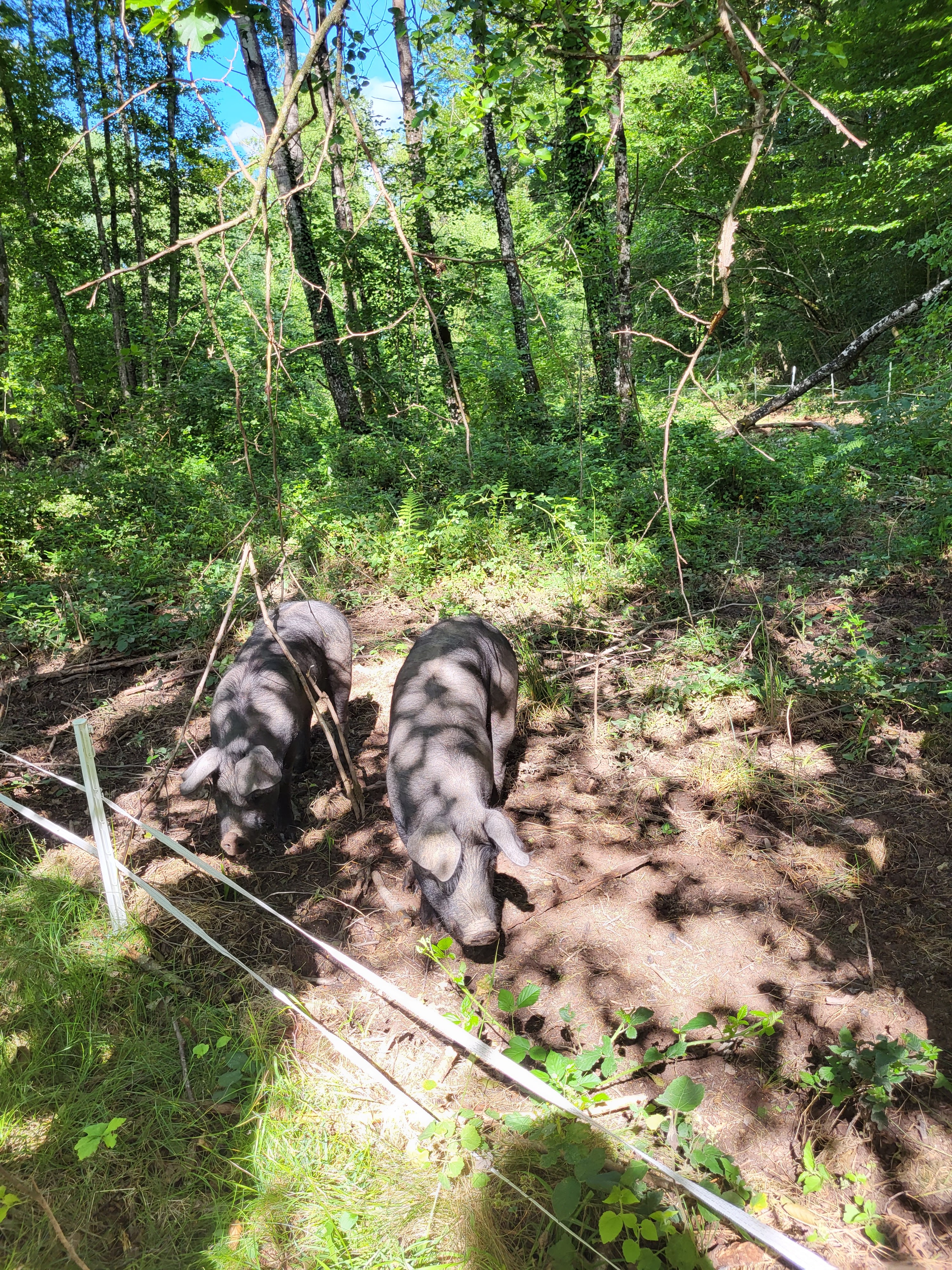 Photo n° 2 de l'avis de Micki.u fait le 22/08/2022 à 18:27