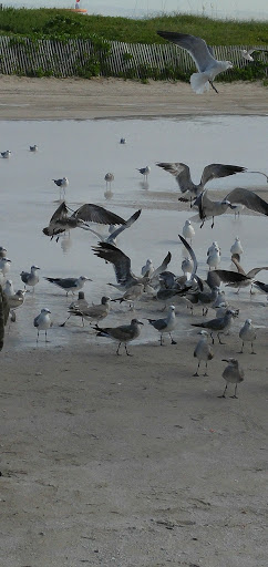 Recreation Center «Betty T. Ferguson Recreational Complex», reviews and photos, 3000 NW 199th St, Miami Gardens, FL 33056, USA