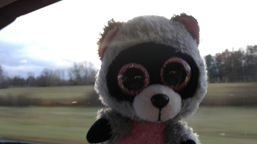 Country Club «Lazy Swan Golf & Country Club», reviews and photos, 1754 Old Kings Hwy, Saugerties, NY 12477, USA