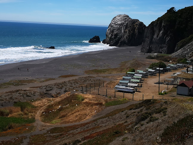 Opiniones de Camping Calabocillos en Constitución - Museo