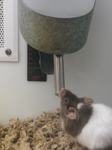 Pet Supply Store «Petco Animal Supplies», reviews and photos, 220 Maine Mall Rd, South Portland, ME 04106, USA