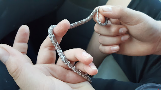 Pet Store «Pet Paradise», reviews and photos, 307 Kellam Rd, Virginia Beach, VA 23462, USA