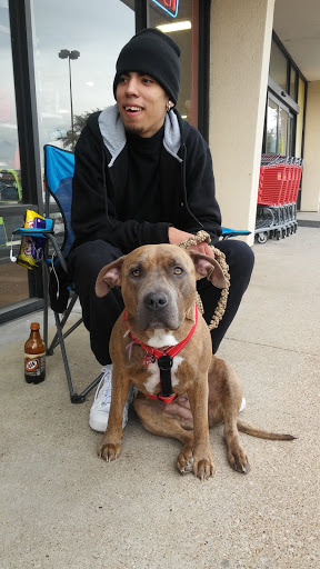 Pet Supply Store «Pet Supermarket», reviews and photos, 1112 N Fielder Rd, Arlington, TX 76012, USA