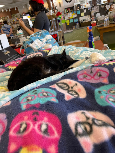 Thrift Store «FurKids Thrift Store», reviews and photos, 4015 Holcomb Bridge Rd #400, Norcross, GA 30092, USA