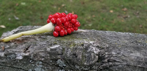 Community Center «City of Auburn Hills Community Center», reviews and photos, 1827 N Squirrel Rd, Auburn Hills, MI 48326, USA