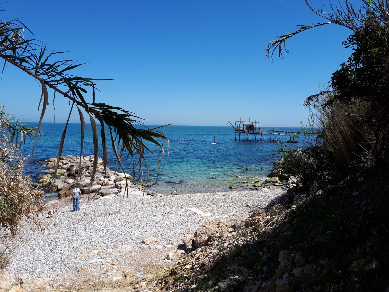 Foto von Spiaggia di Calata Turchino wilde gegend