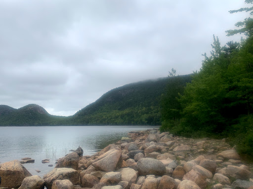 Sightseeing Tour Agency «Acadia National Park Tours», reviews and photos, 53 Main St, Bar Harbor, ME 04609, USA