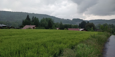 Tremblay à Epagny Metz-Tessy