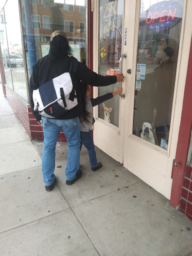 Pet Supply Store «The Animal Connection», reviews and photos, 2550 2550 Judah St & 31st Ave, San Francisco, CA 94122, USA