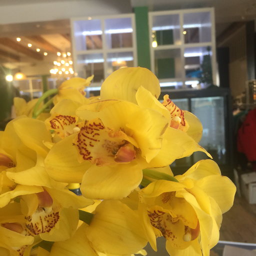 Florist «Mia fiori», reviews and photos, 5840 Legacy Cir D165, Plano, TX 75024, USA