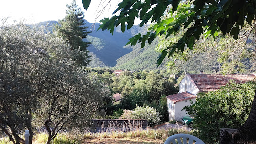 Agence de location de maisons de vacances Gîte meublé 