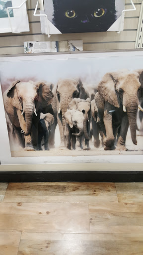 Department Store «HomeGoods», reviews and photos, 803 Goucher Blvd, Towson, MD 21286, USA