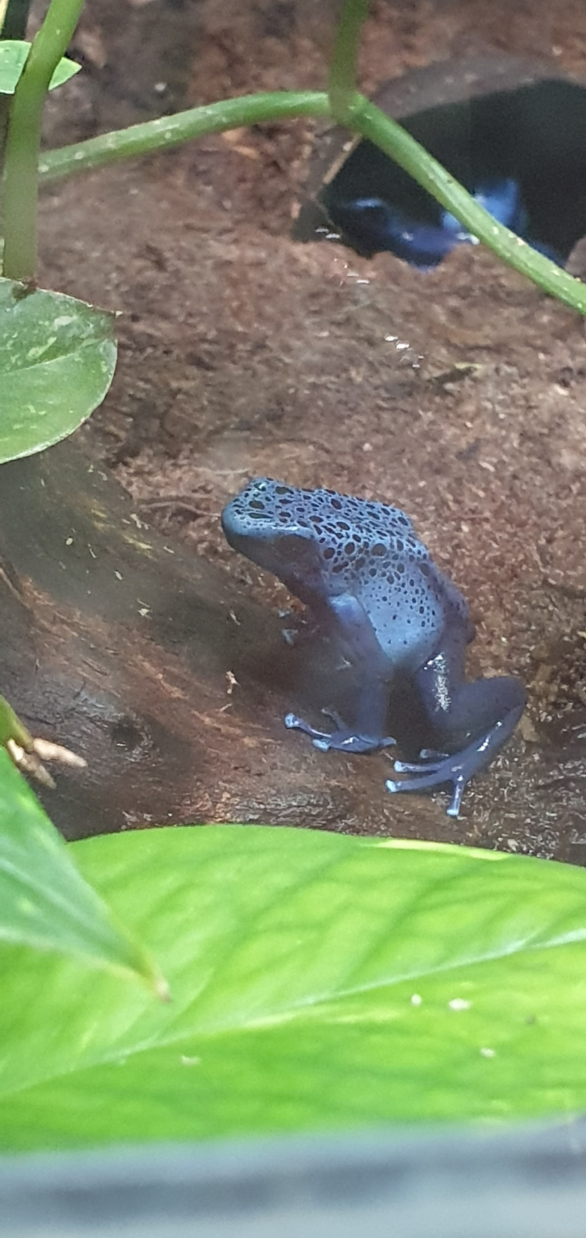Photo n° 7 de l'avis de Mélanie.i fait le 30/09/2023 à 21:21