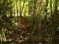 中村構居跡