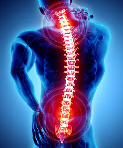 Spine Wise