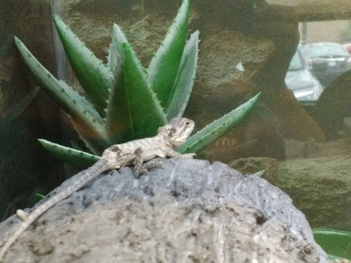 Pet Supply Store «Petco Animal Supplies», reviews and photos, 6220 95th St, Oak Lawn, IL 60453, USA