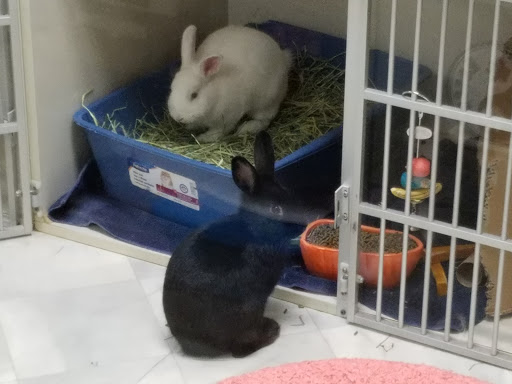 Pet Supply Store «Mounds Pet Food Warehouse», reviews and photos, 5350 King James Way, Fitchburg, WI 53719, USA