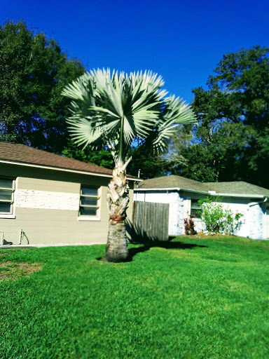 Golf Course «Babe Zaharias Golf Course», reviews and photos, 11412 Forest Hills Dr, Tampa, FL 33612, USA