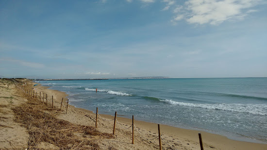 Playa Los Viveros