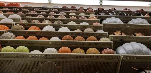 Craft Store «Hobby Lobby», reviews and photos, 875 Harbor Blvd, Destin, FL 32541, USA