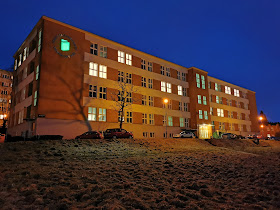 Univerzita Tomáše Bati ve Zlíně: Univerzitní institut