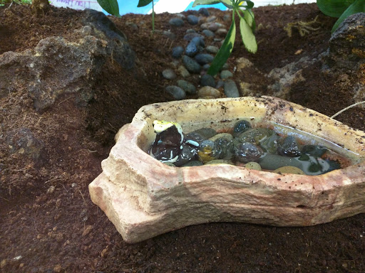 Pet Store «Animal Ark», reviews and photos, 175 S 500 E St, American Fork, UT 84003, USA