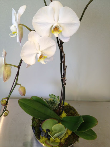 Florist «Verde & Co», reviews and photos, 400 Fairview Ave N #103, Seattle, WA 98109, USA