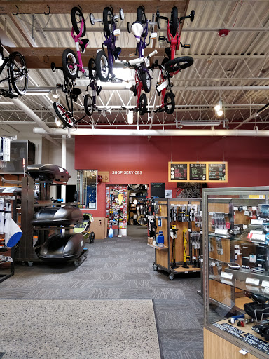 Camping Store «REI», reviews and photos, 144 Glen Cove Rd, Carle Place, NY 11514, USA