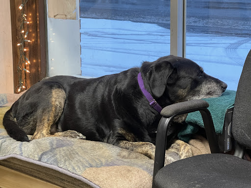 Auto Repair Shop «Ultimate Auto Service», reviews and photos, 2151 Niagara St, Buffalo, NY 14207, USA