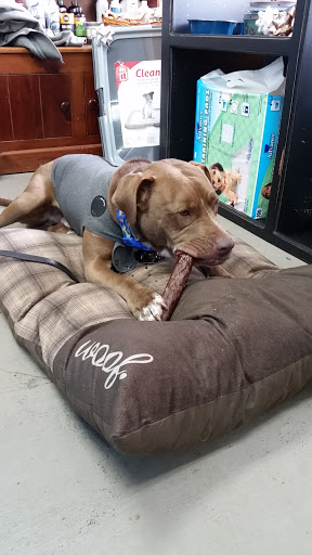 Pet Supply Store «All Natural Pet Supply», reviews and photos, 10501 NE Hwy 99 # 39, Vancouver, WA 98686, USA
