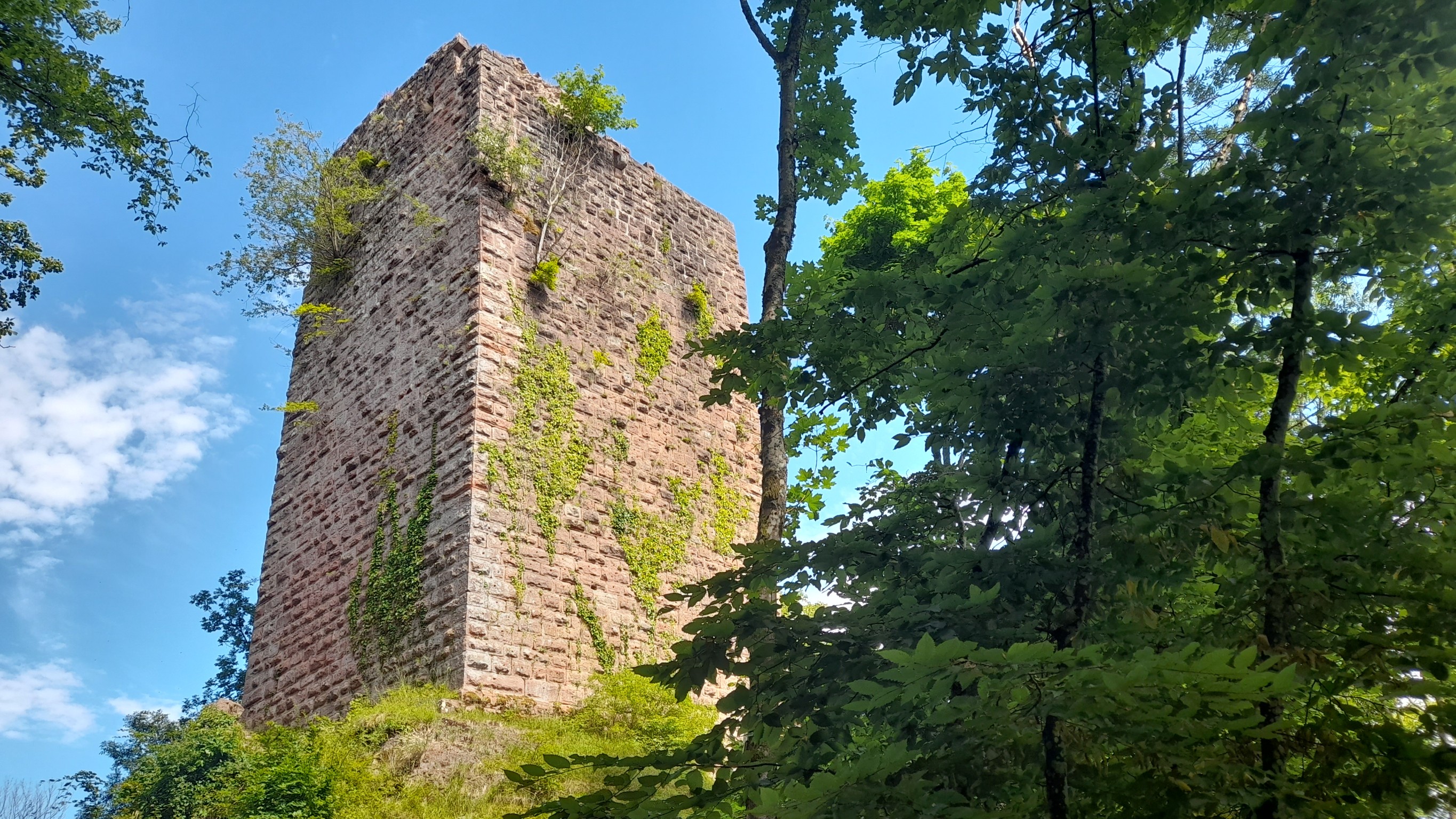 Photo n° 11 de l'avis de Kris.c fait le 20/07/2022 à 13:28