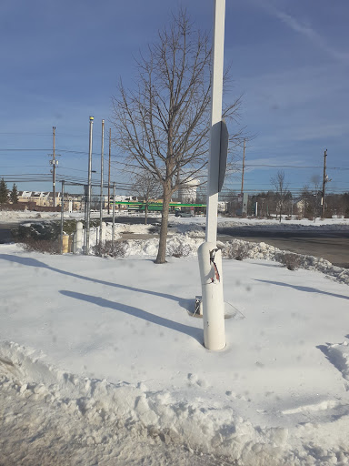 Sandwich Shop «Wawa», reviews and photos, 909 NJ-33, Freehold, NJ 07728, USA