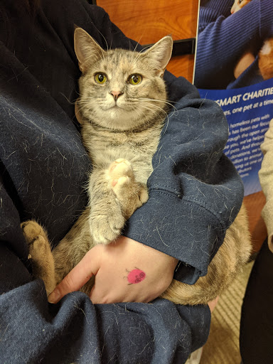 Pet Supply Store «PetSmart», reviews and photos, 950 Hanes Mall Blvd, Winston-Salem, NC 27103, USA