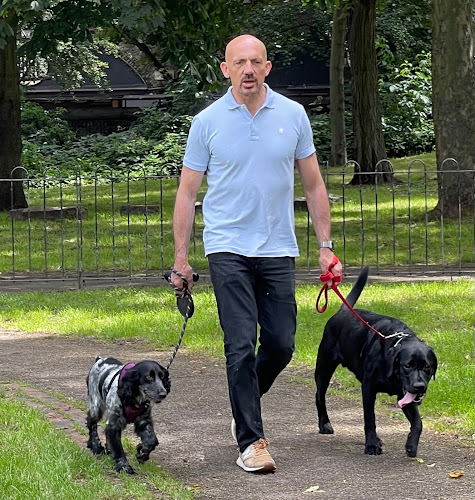 Sean Takes The Dogs Out - Dog trainer