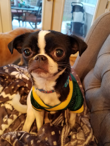 Park «Pueblo Park», reviews and photos, Peublo Vista Dr, Las Vegas, NV 89128, USA