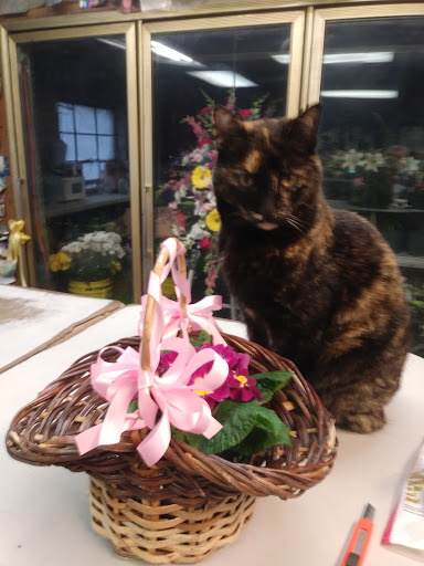 Florist «Springbrook Gardens Florist & Greenhouses», reviews and photos, 23614 Power Rd, Farmington, MI 48336, USA