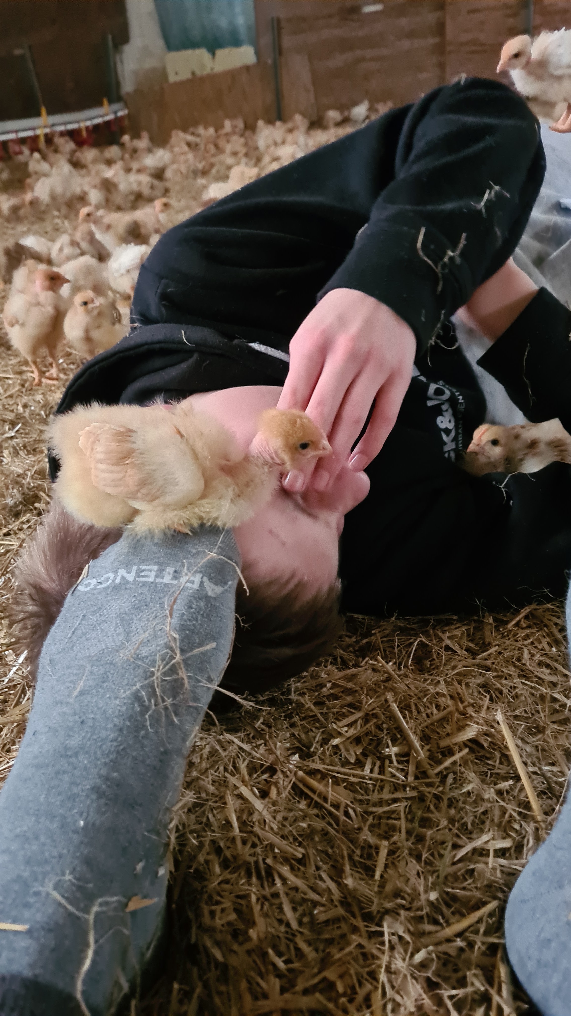Photo n° 1 de l'avis de Kristof.e fait le 29/03/2022 à 06:26