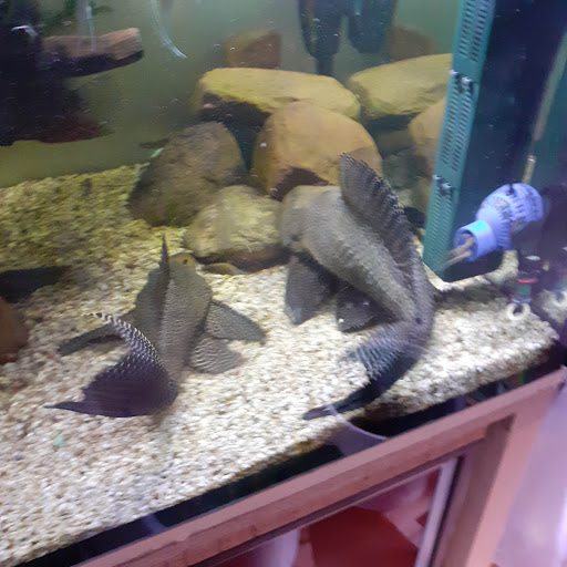 Aquaristik & Der Zoo Inh. Mario Fortkort unter Löhne, 