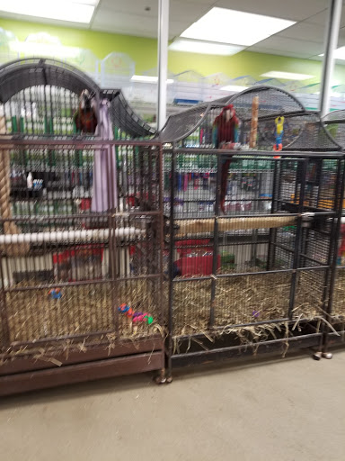 Pet Store «Parrots Of The World Aquarium and Pet Center», reviews and photos, 316 Sunrise Hwy #1, Rockville Centre, NY 11570, USA