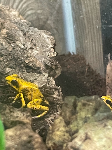 Pet Store «Birds & Beasts Pet Shop», reviews and photos, 35 Berkshire Dr # 18, Crystal Lake, IL 60014, USA