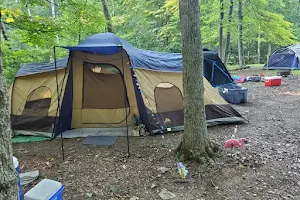 Scioto Trail State Park Walk-In Camping Area image