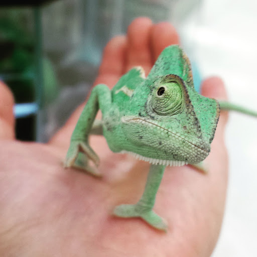 Pet Supply Store «Petco Animal Supplies», reviews and photos, 4751 W 29th St, Greeley, CO 80634, USA