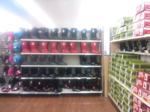 Department Store «Walmart Supercenter», reviews and photos, 233 Shoemaker Rd, Pottstown, PA 19464, USA