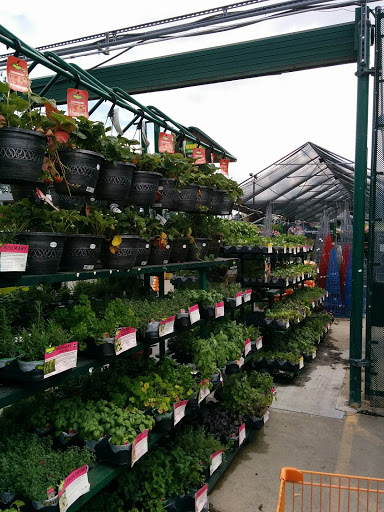 Home Improvement Store «The Home Depot», reviews and photos, 530 Turnpike Rd, Shrewsbury, MA 01545, USA