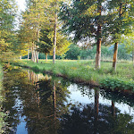 Photo n°1 de l'avis de Peter. fait le 13/06/2023 à 08:23 sur le  Mühlbachstube à Baiersbronn