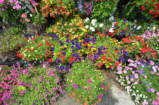 Florist «Flowerama Florist: Westerville», reviews and photos, 635 S State St, Westerville, OH 43081, USA