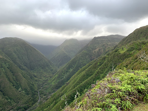 Waihee Ridge Trail