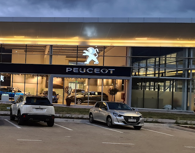 Opiniones de Peugeot en Canelones - Concesionario de automóviles