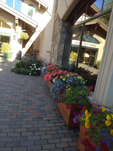 Resort «Manor Vail Lodge», reviews and photos, 595 Vail Valley Dr, Vail, CO 81657, USA